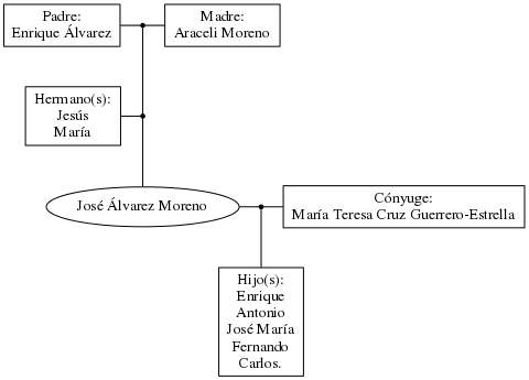 This is a graph with borders and nodes. Maybe there is an Imagemap used so the nodes may be linking to some Pages.