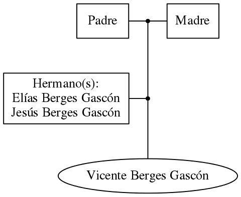 This is a graph with borders and nodes. Maybe there is an Imagemap used so the nodes may be linking to some Pages.