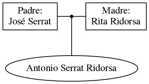 This is a graph with borders and nodes. Maybe there is an Imagemap used so the nodes may be linking to some Pages.