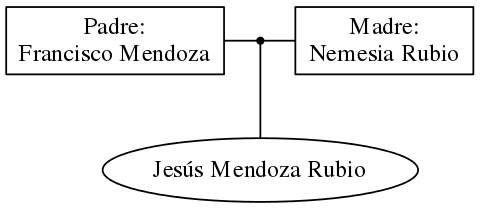 This is a graph with borders and nodes. Maybe there is an Imagemap used so the nodes may be linking to some Pages.