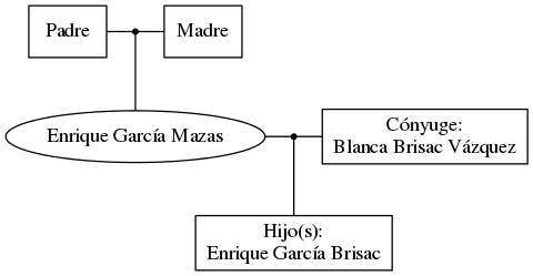 This is a graph with borders and nodes. Maybe there is an Imagemap used so the nodes may be linking to some Pages.