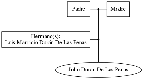 This is a graph with borders and nodes. Maybe there is an Imagemap used so the nodes may be linking to some Pages.