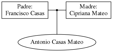 This is a graph with borders and nodes. Maybe there is an Imagemap used so the nodes may be linking to some Pages.