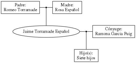 This is a graph with borders and nodes. Maybe there is an Imagemap used so the nodes may be linking to some Pages.