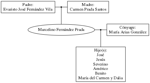 This is a graph with borders and nodes. Maybe there is an Imagemap used so the nodes may be linking to some Pages.