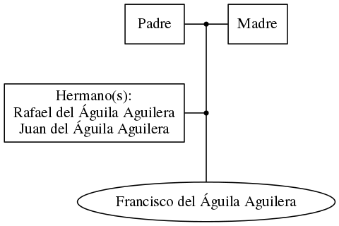 This is a graph with borders and nodes. Maybe there is an Imagemap used so the nodes may be linking to some Pages.