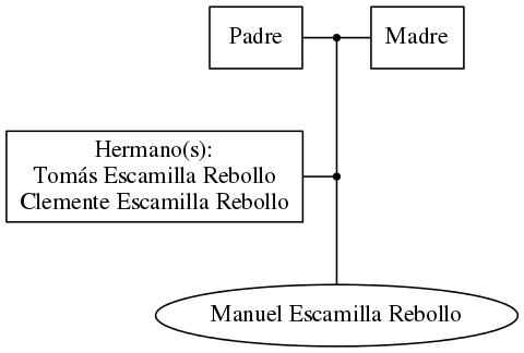 This is a graph with borders and nodes. Maybe there is an Imagemap used so the nodes may be linking to some Pages.