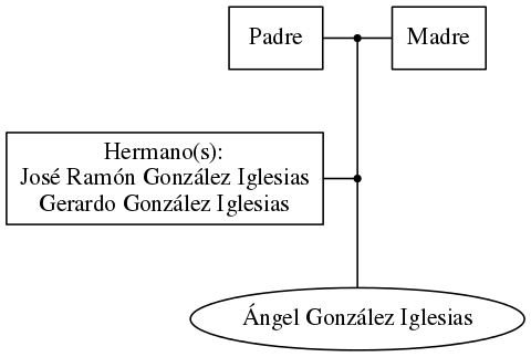 This is a graph with borders and nodes. Maybe there is an Imagemap used so the nodes may be linking to some Pages.