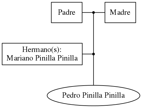 This is a graph with borders and nodes. Maybe there is an Imagemap used so the nodes may be linking to some Pages.