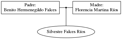 This is a graph with borders and nodes. Maybe there is an Imagemap used so the nodes may be linking to some Pages.