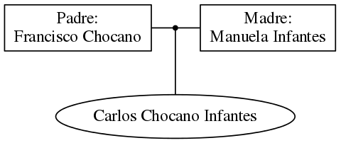 This is a graph with borders and nodes. Maybe there is an Imagemap used so the nodes may be linking to some Pages.