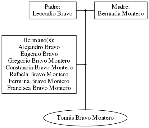 This is a graph with borders and nodes. Maybe there is an Imagemap used so the nodes may be linking to some Pages.