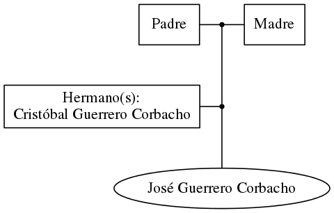 This is a graph with borders and nodes. Maybe there is an Imagemap used so the nodes may be linking to some Pages.