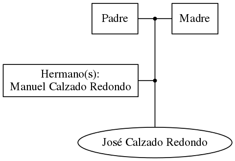 This is a graph with borders and nodes. Maybe there is an Imagemap used so the nodes may be linking to some Pages.