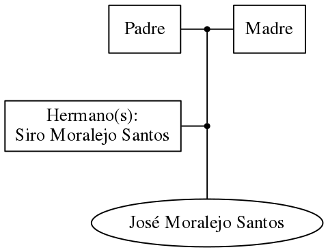 This is a graph with borders and nodes. Maybe there is an Imagemap used so the nodes may be linking to some Pages.