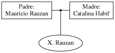 This is a graph with borders and nodes. Maybe there is an Imagemap used so the nodes may be linking to some Pages.