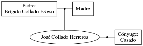 This is a graph with borders and nodes. Maybe there is an Imagemap used so the nodes may be linking to some Pages.