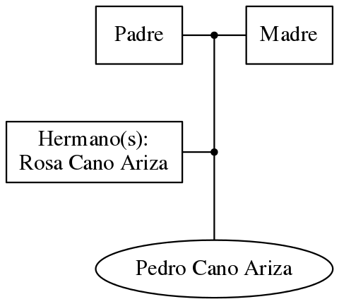 This is a graph with borders and nodes. Maybe there is an Imagemap used so the nodes may be linking to some Pages.