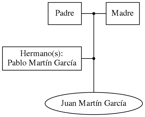 This is a graph with borders and nodes. Maybe there is an Imagemap used so the nodes may be linking to some Pages.