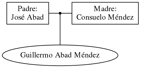 This is a graph with borders and nodes. Maybe there is an Imagemap used so the nodes may be linking to some Pages.