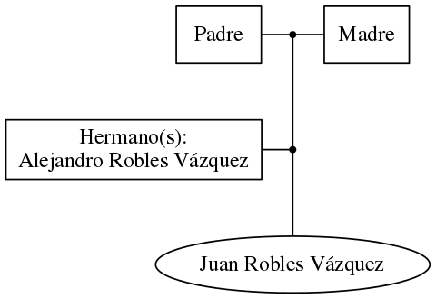 This is a graph with borders and nodes. Maybe there is an Imagemap used so the nodes may be linking to some Pages.