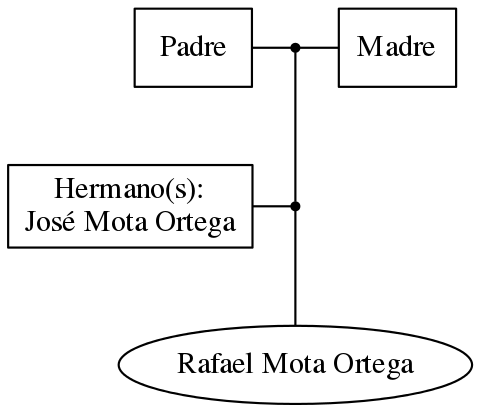 This is a graph with borders and nodes. Maybe there is an Imagemap used so the nodes may be linking to some Pages.