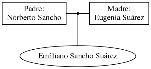 This is a graph with borders and nodes. Maybe there is an Imagemap used so the nodes may be linking to some Pages.