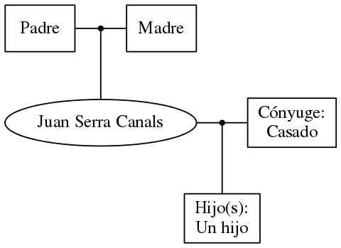 This is a graph with borders and nodes. Maybe there is an Imagemap used so the nodes may be linking to some Pages.