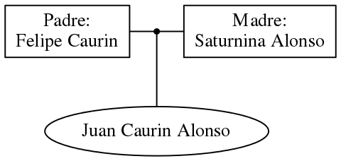 This is a graph with borders and nodes. Maybe there is an Imagemap used so the nodes may be linking to some Pages.