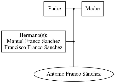 This is a graph with borders and nodes. Maybe there is an Imagemap used so the nodes may be linking to some Pages.