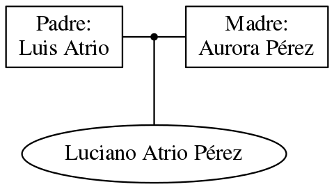 This is a graph with borders and nodes. Maybe there is an Imagemap used so the nodes may be linking to some Pages.