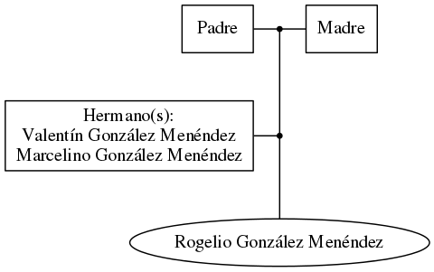 This is a graph with borders and nodes. Maybe there is an Imagemap used so the nodes may be linking to some Pages.