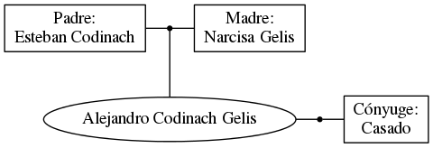 This is a graph with borders and nodes. Maybe there is an Imagemap used so the nodes may be linking to some Pages.