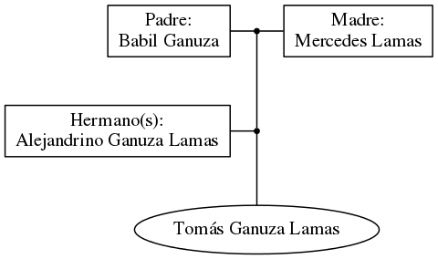 This is a graph with borders and nodes. Maybe there is an Imagemap used so the nodes may be linking to some Pages.