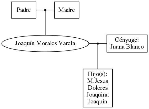 This is a graph with borders and nodes. Maybe there is an Imagemap used so the nodes may be linking to some Pages.