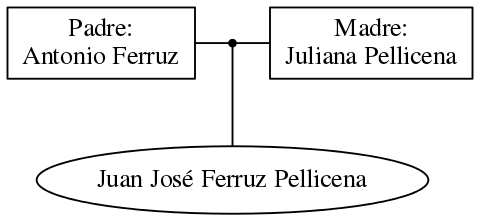 This is a graph with borders and nodes. Maybe there is an Imagemap used so the nodes may be linking to some Pages.