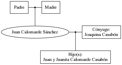 This is a graph with borders and nodes. Maybe there is an Imagemap used so the nodes may be linking to some Pages.