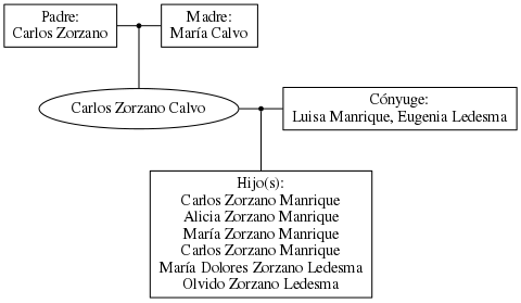 This is a graph with borders and nodes. Maybe there is an Imagemap used so the nodes may be linking to some Pages.