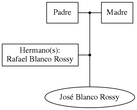 This is a graph with borders and nodes. Maybe there is an Imagemap used so the nodes may be linking to some Pages.