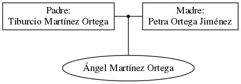 This is a graph with borders and nodes. Maybe there is an Imagemap used so the nodes may be linking to some Pages.