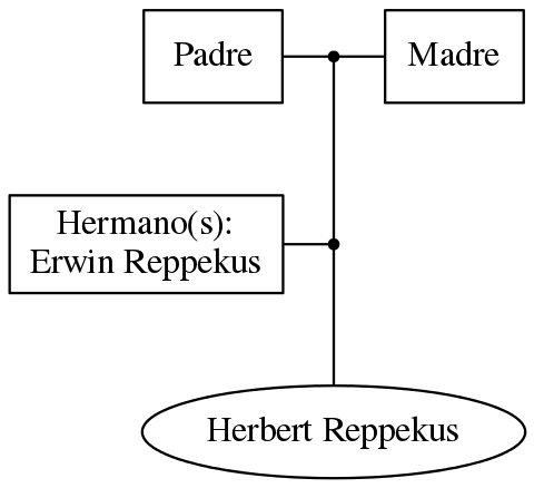 This is a graph with borders and nodes. Maybe there is an Imagemap used so the nodes may be linking to some Pages.