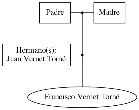 This is a graph with borders and nodes. Maybe there is an Imagemap used so the nodes may be linking to some Pages.