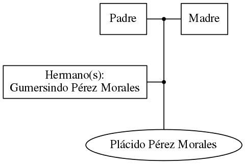 This is a graph with borders and nodes. Maybe there is an Imagemap used so the nodes may be linking to some Pages.