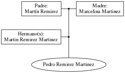 This is a graph with borders and nodes. Maybe there is an Imagemap used so the nodes may be linking to some Pages.