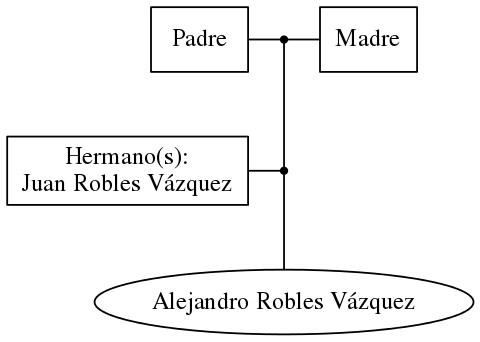 This is a graph with borders and nodes. Maybe there is an Imagemap used so the nodes may be linking to some Pages.