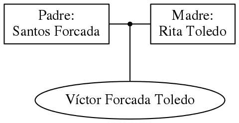 This is a graph with borders and nodes. Maybe there is an Imagemap used so the nodes may be linking to some Pages.