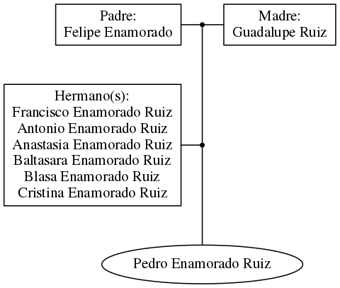 This is a graph with borders and nodes. Maybe there is an Imagemap used so the nodes may be linking to some Pages.