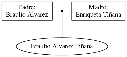 This is a graph with borders and nodes. Maybe there is an Imagemap used so the nodes may be linking to some Pages.