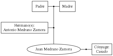 This is a graph with borders and nodes. Maybe there is an Imagemap used so the nodes may be linking to some Pages.