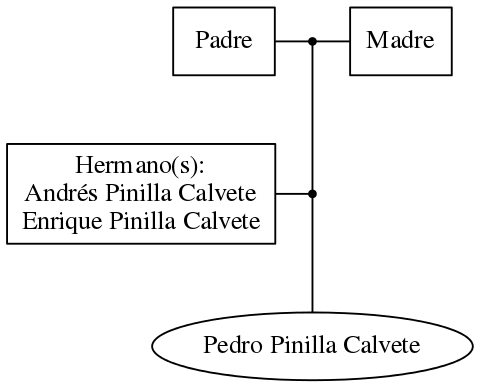 This is a graph with borders and nodes. Maybe there is an Imagemap used so the nodes may be linking to some Pages.